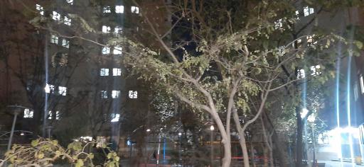 عکس مجتمع مسکونی بوستان