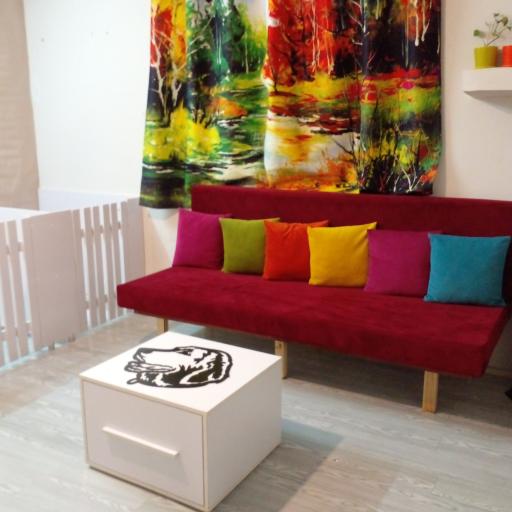 پانسیون و آرایشگاه حیوانات خانگی ویدپت VIDPET