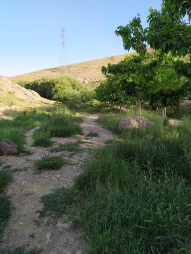 عکس آبگیر خاکی باغستان