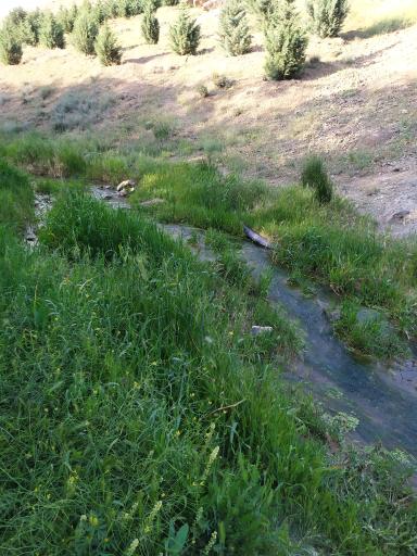 عکس آبگیر خاکی باغستان