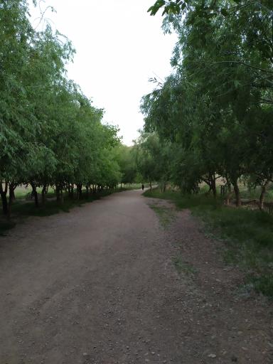 عکس آبگیر خاکی باغستان