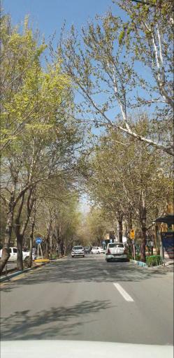 عکس منوچهری