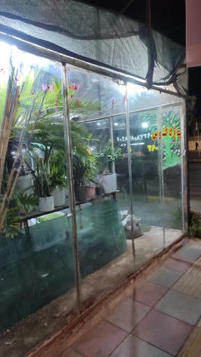 عکس باغ کاکتوس