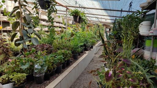 عکس باغ کاکتوس