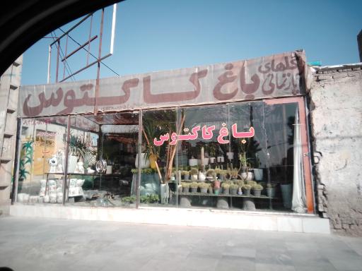 باغ کاکتوس