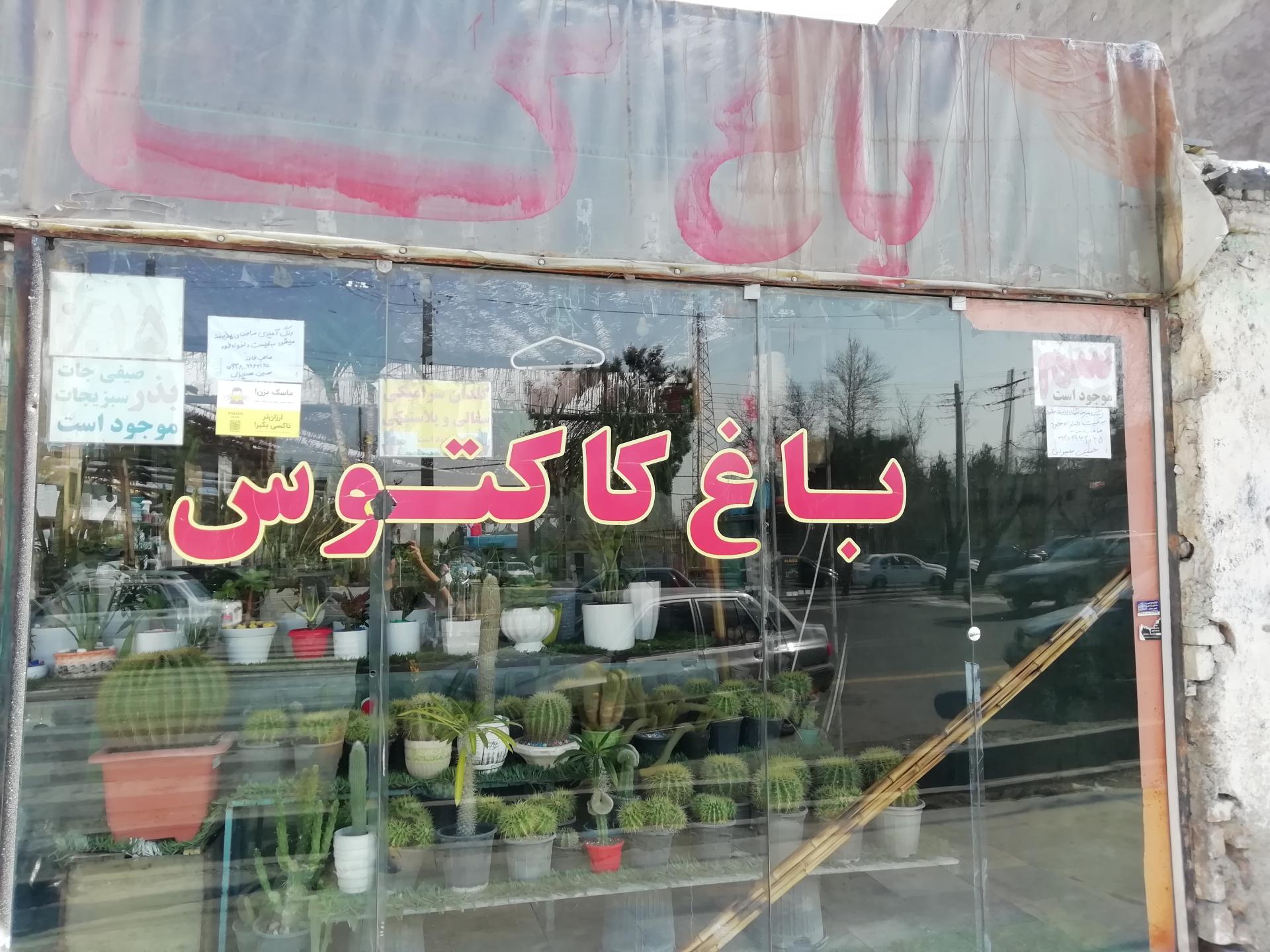 عکس باغ کاکتوس