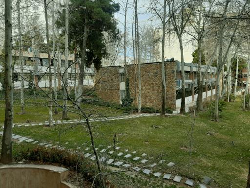 عکس دانشگاه علوم توانبخشی و سلامت اجتماعی