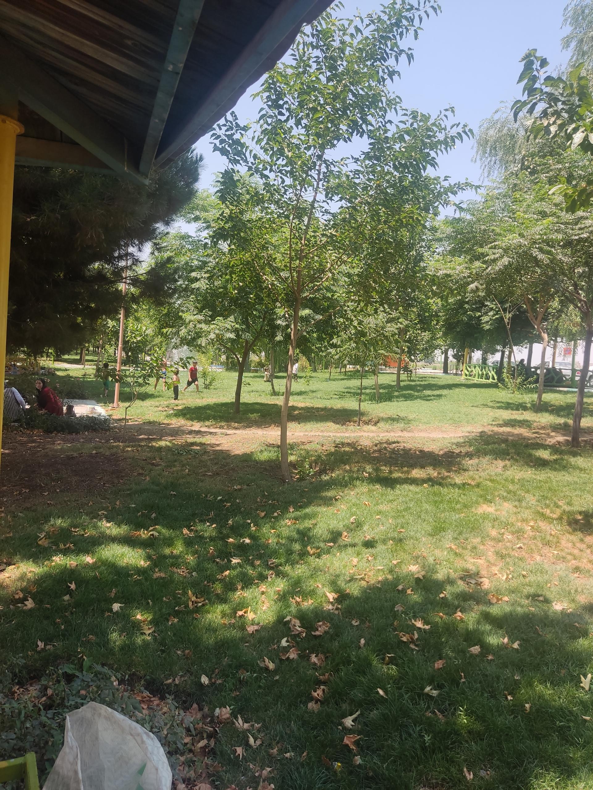 عکس پارک ساحلی چمگردان