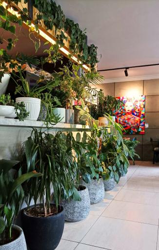 عکس کافه کالو