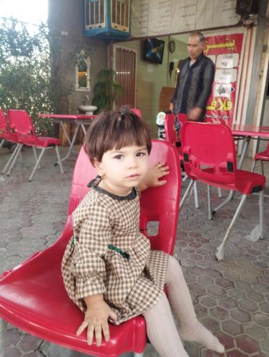 عکس پیتزا ساندویچ چنار