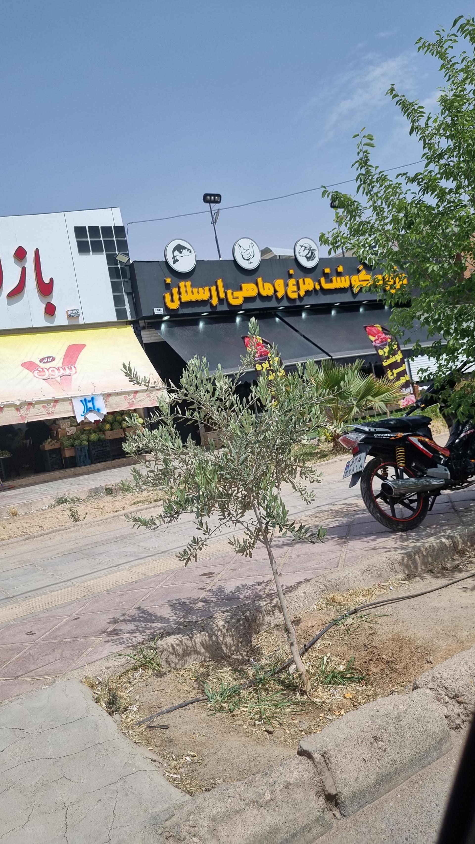 عکس گوشت مرغ ماهی ارسلان