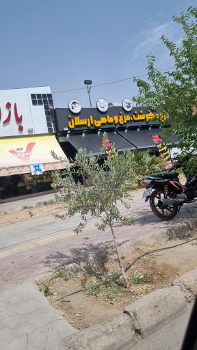 عکس گوشت مرغ ماهی ارسلان