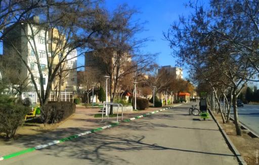 عکس بوستان راش