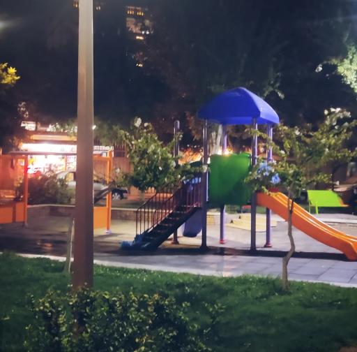 عکس بوستان راش