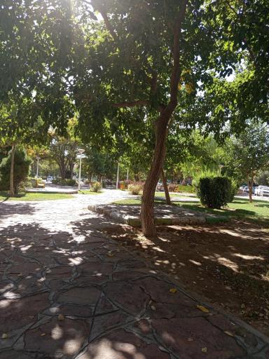 عکس بوستان راش