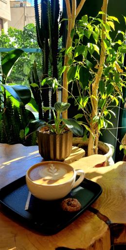 عکس کافه کالو