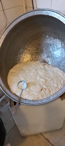 عکس فرنی پزی خان پور