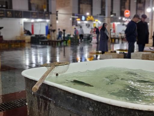 عکس بازار الگویی ماهی فروشان رشت