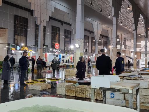 عکس بازار الگویی ماهی فروشان رشت