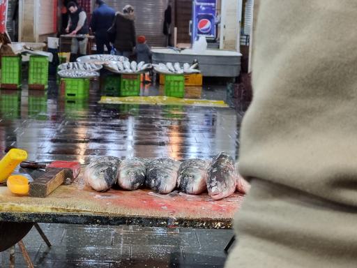 عکس بازار الگویی ماهی فروشان رشت