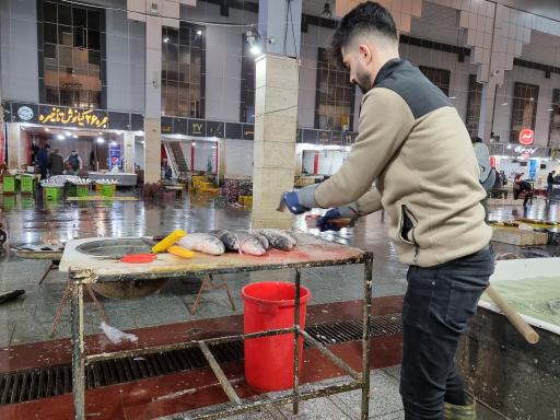 عکس بازار الگویی ماهی فروشان رشت