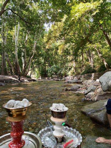 عکس باغ خانوادگی دو آسیاب