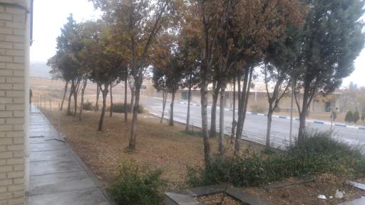 عکس خوابگاه پسرانه شهید احمدی روشن 