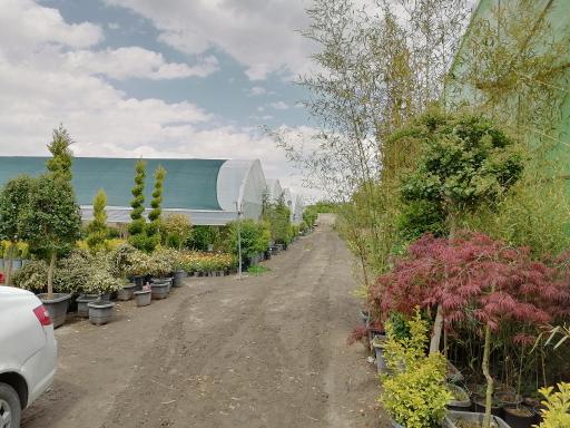 عکس گلخانه مهندس توکلی