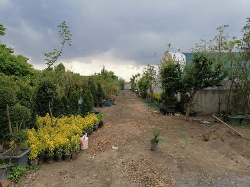 گلخانه مهندس توکلی