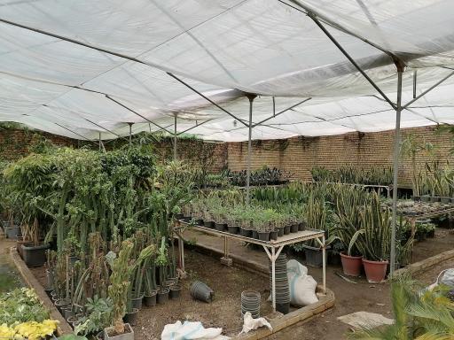 گلخانه مهندس توکلی