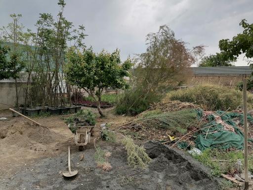 عکس گلخانه مهندس توکلی