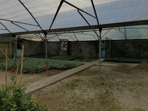 گلخانه مهندس توکلی