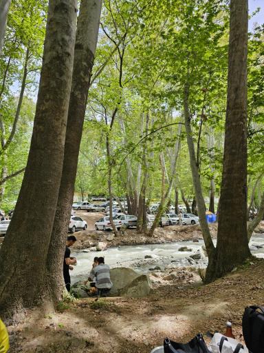 عکس باغ خانوادگی دو آسیاب