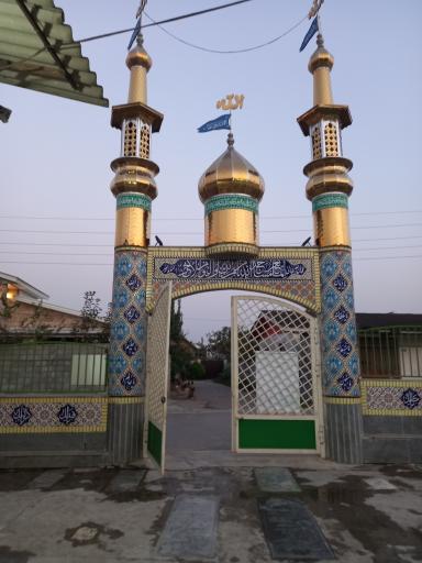 عکس شیرکلا