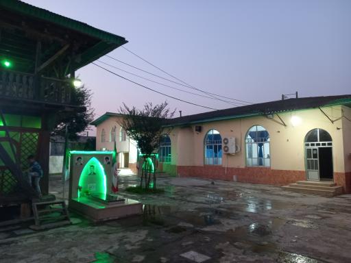 عکس شیرکلا