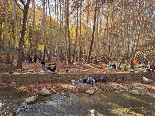 عکس باغ خانوادگی دو آسیاب