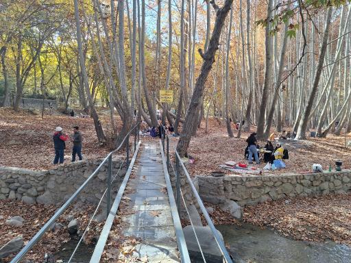 عکس باغ خانوادگی دو آسیاب