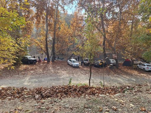 عکس باغ خانوادگی دو آسیاب