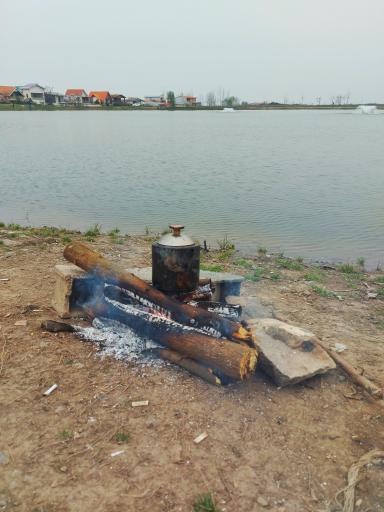 عکس شیرکلا