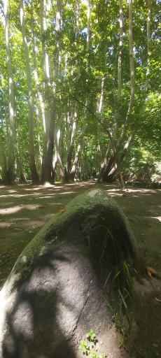 عکس باغ خانوادگی دو آسیاب