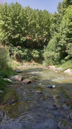 عکس باغ خانوادگی دو آسیاب