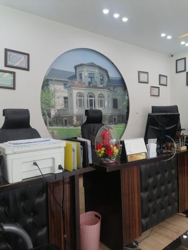 املاک محمدی