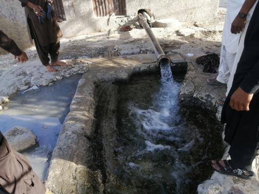 عکس نخلستان چاه پپو