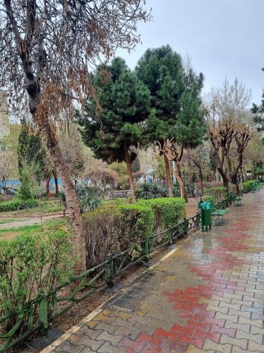 عکس بوستان شمشیری