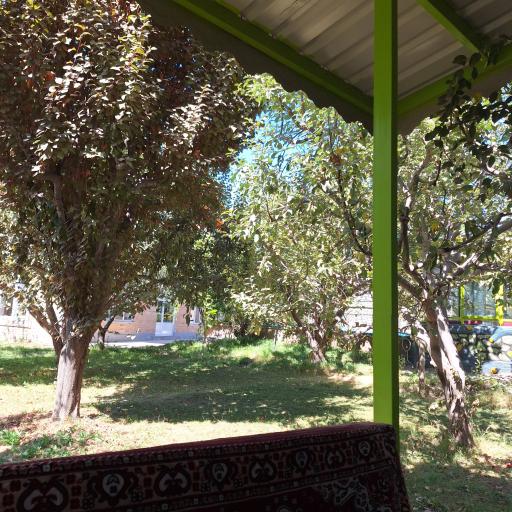 عکس غذاخوری صفا