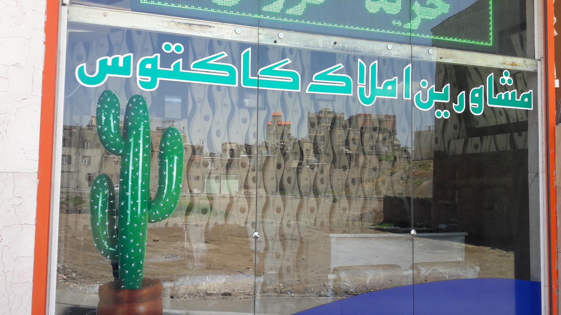 عکس مشاورین املاک کاکتوس