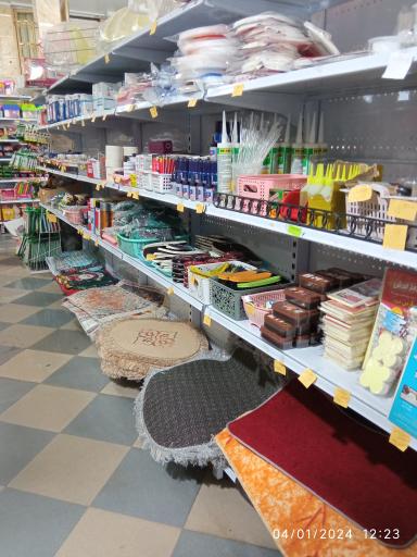 پلاسکو بزرگ شهر 