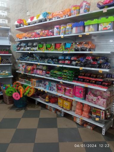 پلاسکو بزرگ شهر 