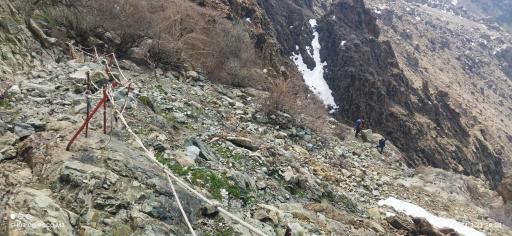 عکس ۲راهی شروین