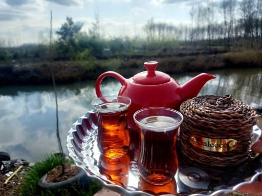 عکس کافه هامون